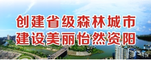 肏女人大逼视频创建省级森林城市 建设美丽怡然资阳